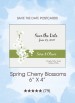 Spring Cherry Blossoms